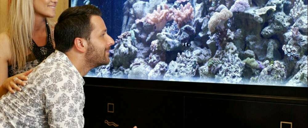 ALEXANDRIA**** Spa & Wellness hotel - Hotel-Innenansicht