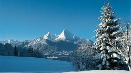 Alpen Bergwelt