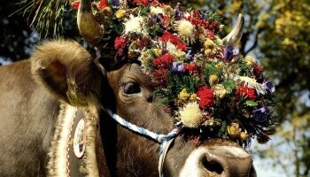 Alpenhotel Oberstdorf - ein Rovell Hotel - Umgebung