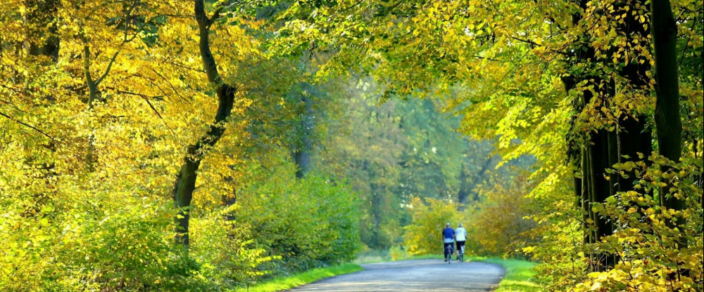 Alte Landratsvilla Hotel Bender - Umgebung
