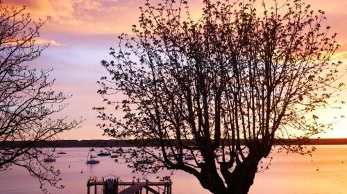 Ammersee Hotel  - Umgebung