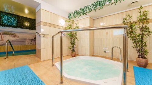 Apartments Młyńska 10 by Nad Parsętą - Wellnessbereich