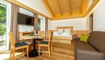 Das Appartement hat eine Wohnfläche von ca. 30m² auf einer Etage (im Erdgeschoss), Wohn-/Schlafraum mit Zirbenholz-Doppelbett, Naturleder-Ausziehsofa, voll ausgestatteter Küche, Badezimmer mit DU/WC, Esstisch, Flat-TV, Telefon und WLAN. Jedes Appartement 