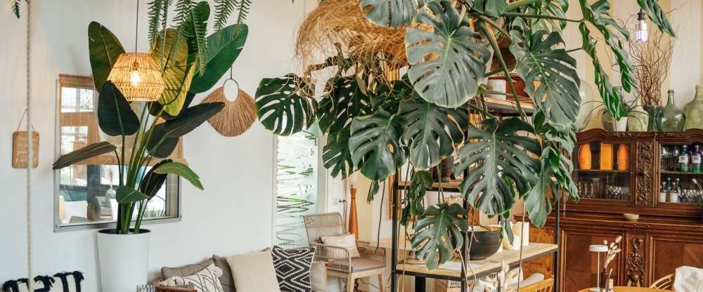 Aqua Hotel & Hostel GmbH & CO KG - Bar