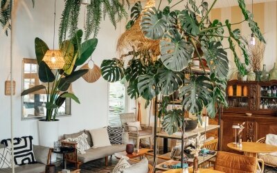 Aqua Hotel & Hostel GmbH & CO KG - Bar