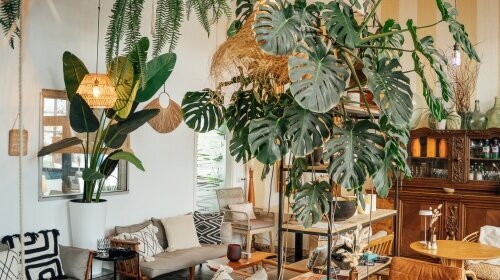 Aqua Hotel & Hostel GmbH & CO KG - Bar