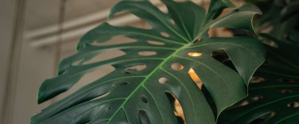 Aqua Hotel & Hostel GmbH & CO KG - Hotel-Innenansicht