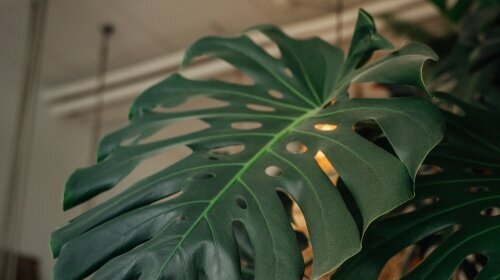 Aqua Hotel & Hostel GmbH & CO KG - Hotel-Innenansicht