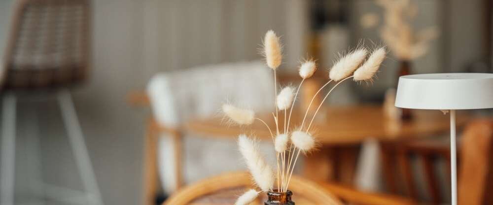 Aqua Hotel & Hostel GmbH & CO KG - Bar