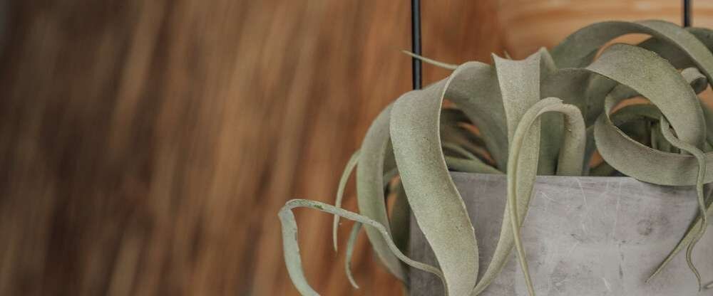 Aqua Hotel & Hostel GmbH & CO KG - Hotel-Innenansicht