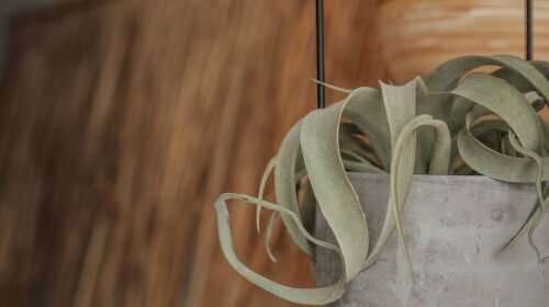 Aqua Hotel & Hostel GmbH & CO KG - Hotel-Innenansicht