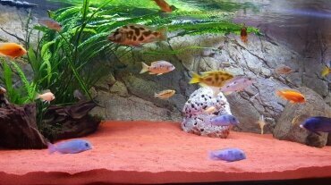 Aquarium Rezepetion, Quelle: Hotel Evabrunnen