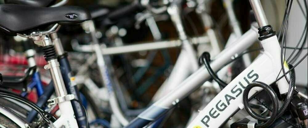 Aselager Mühle - Umgebung