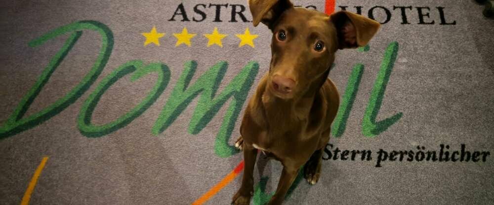 Astralis Hotel Domizil - Hotel-Innenansicht