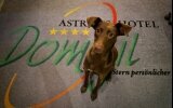 Astralis Hotel Domizil - Hotel-Innenansicht