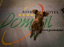 Astralis Hotel Domizil - Hotel-Innenansicht