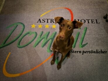 Astralis Hotel Domizil - Hotel-Innenansicht, Quelle: Astralis Hotel Domizil