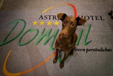Astralis Hotel Domizil - Hotel-Innenansicht, Quelle: Astralis Hotel Domizil