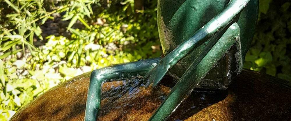 Astralis Hotel Domizil - Terrasse/Außenbereich