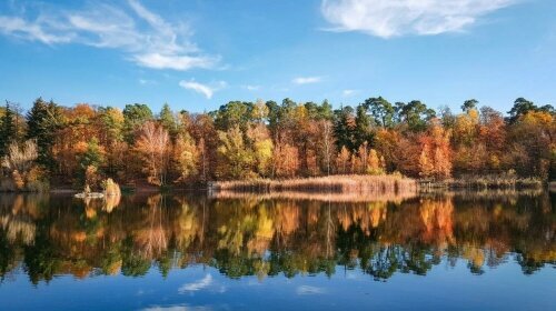 Waldsee in Walldorf