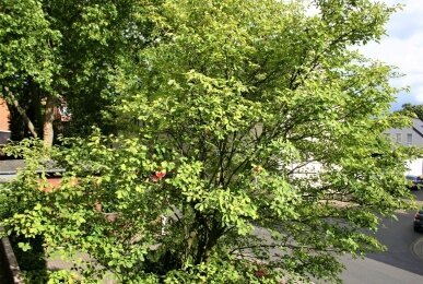 Außenansicht, Quelle: Schacht34