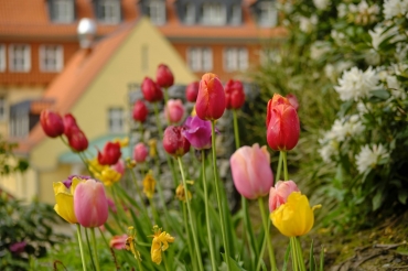 Außenansicht Villa, Quelle: Sonnenresort Ettershaus