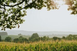 Bad Griesbach & Umgebung