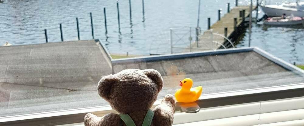 kleiner Teddy im Zimmer