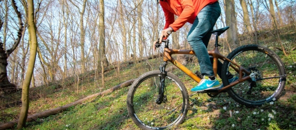 Bambus Bikes, Quelle: Hotel Bornmühle 