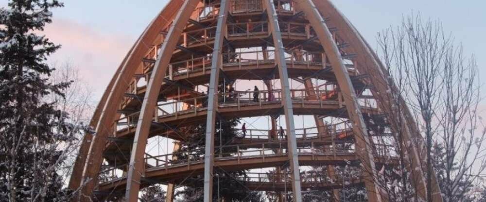 Baumei Nationalpark Bayerischer Wald