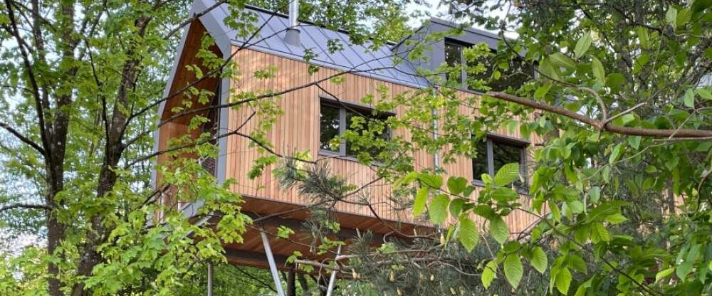 Willkommen in den Baumwipfelhäusern des Jugendstilhotels Trifels – besonderen Ferienhäusern auf Stelzen am Waldrand von Annweiler am Trifels. Nur etwa 300 Meter vom Hotel entfernt verbinden sie Natur, Ruhe und Komfort auf ganz eigene Weise. Die Baumwip