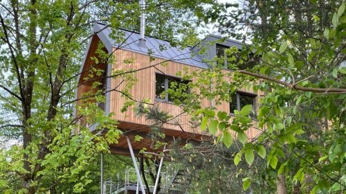 Willkommen in den Baumwipfelhäusern des Jugendstilhotels Trifels – besonderen Ferienhäusern auf Stelzen am Waldrand von Annweiler am Trifels. Nur etwa 300 Meter vom Hotel entfernt verbinden sie Natur, Ruhe und Komfort auf ganz eigene Weise.