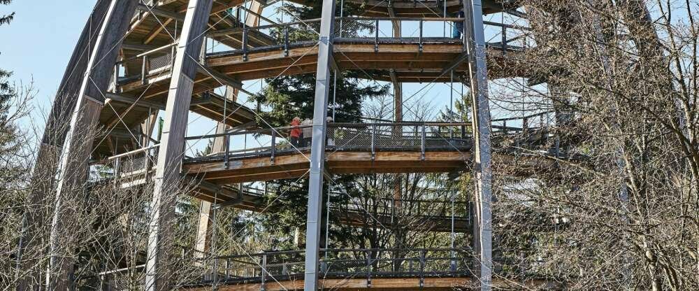 Auszeit über den Baumwipfeln genießen!