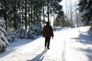 Bayerischer Wald