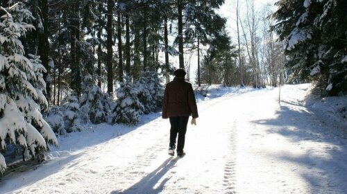 Bayerischer Wald