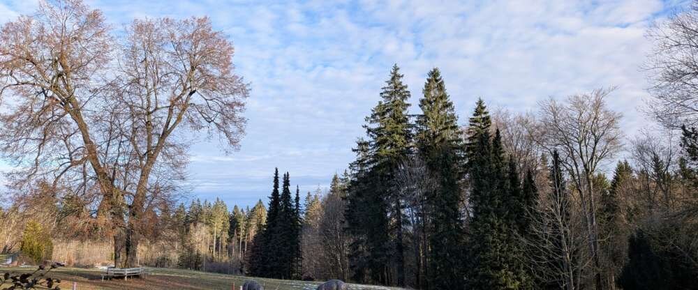 BERG & SPA HOTEL GABELBACH - Hotel-Außenansicht