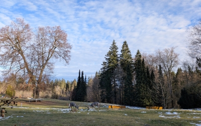 BERG & SPA HOTEL GABELBACH - Hotel-Außenansicht