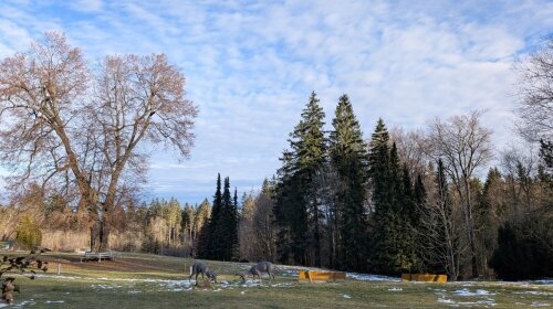 BERG & SPA HOTEL GABELBACH - Hotel-Außenansicht
