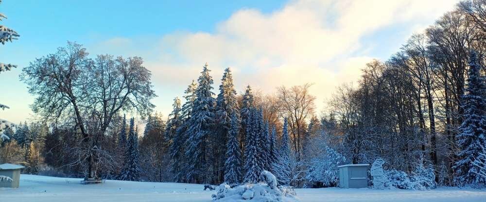 BERG & SPA HOTEL GABELBACH - Hotel-Außenansicht