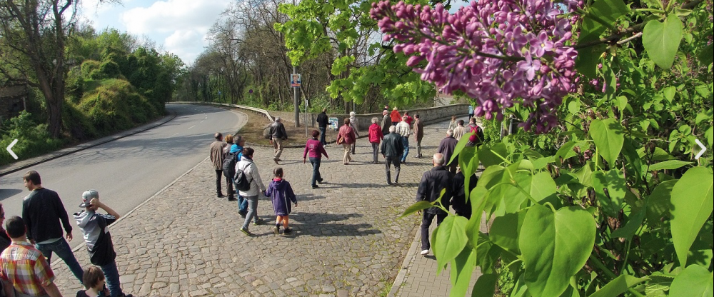 Bernstein Acamed Resort - Umgebung