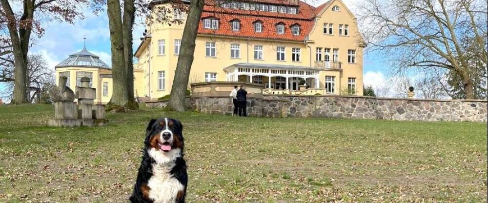 Bernsteinschloss - Hotel-Außenansicht