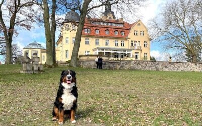 Bernsteinschloss - Hotel-Außenansicht