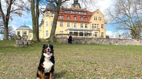 Bernsteinschloss - Hotel-Außenansicht