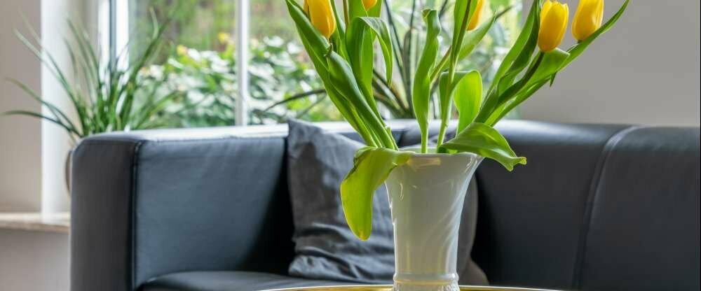 Bierenbacher Hof - Hotel-Innenansicht - Rezeption