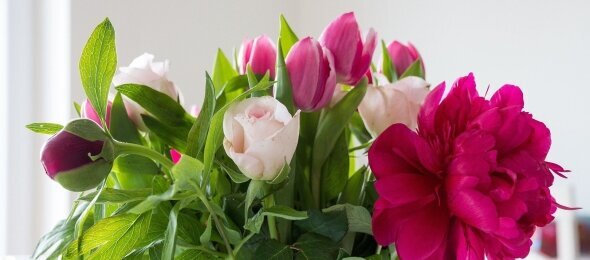 Bierenbacher Hof - Sonstiges, Quelle: Bierenbacher Hof