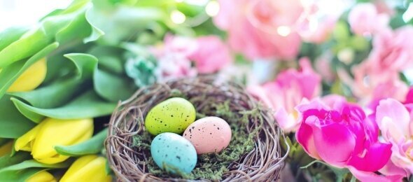 Bierenbacher Hof - Sonstiges, Quelle: Bierenbacher Hof