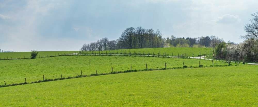 Bierenbacher Hof - Umgebung