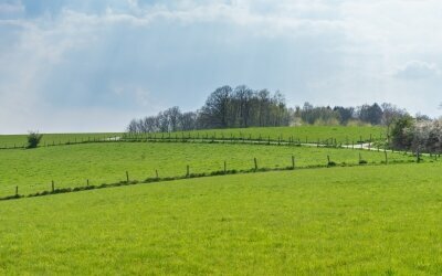 Bierenbacher Hof - Umgebung