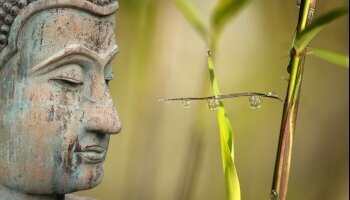 Bierenbacher Hof - Wellnessbereich