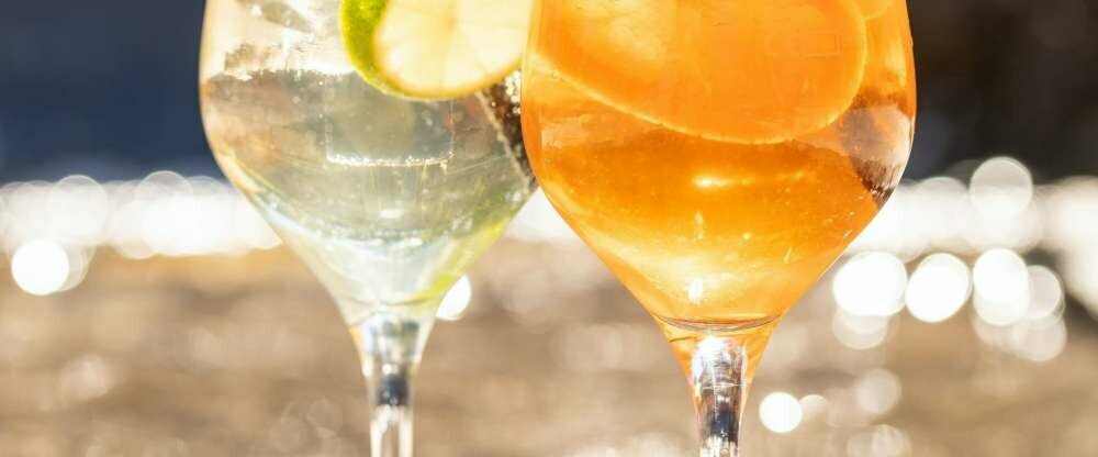 Bio-Naturschwimmbad im Wellnessgarten